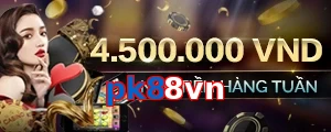 pk88vn